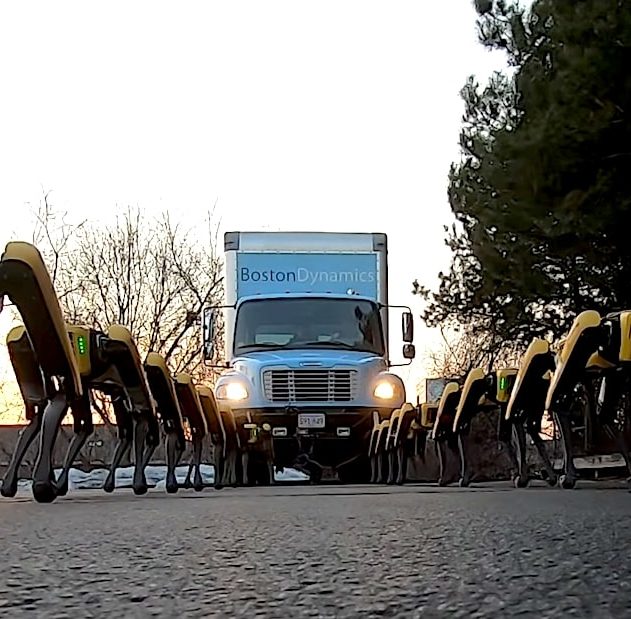 boston dynamics robots chiens tirant camion