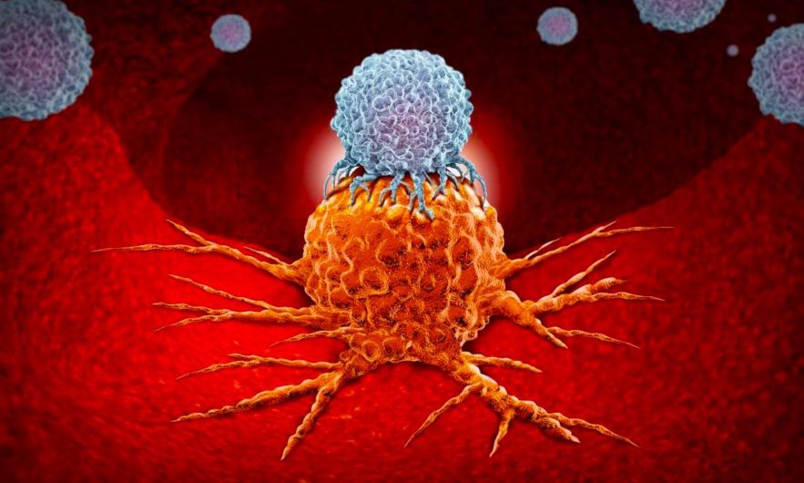 cellule cancer immunotherapie