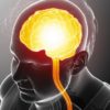 cerveau diminution matiere grise blanche obesite lien masse graisseuse graisse