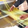 soie araignee produite a partir de bacteries