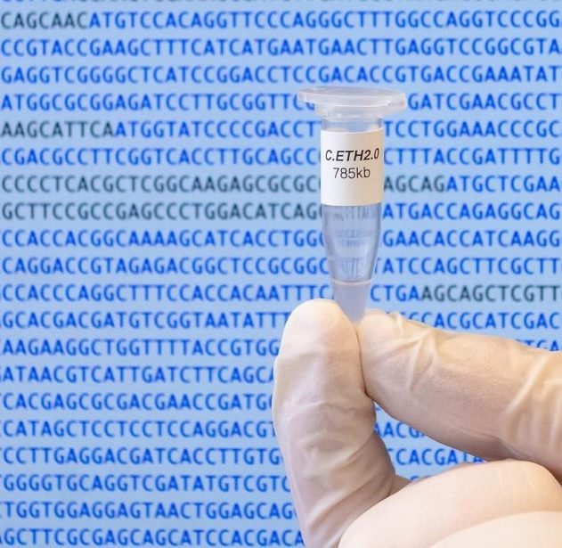 synthese bacterie informatique