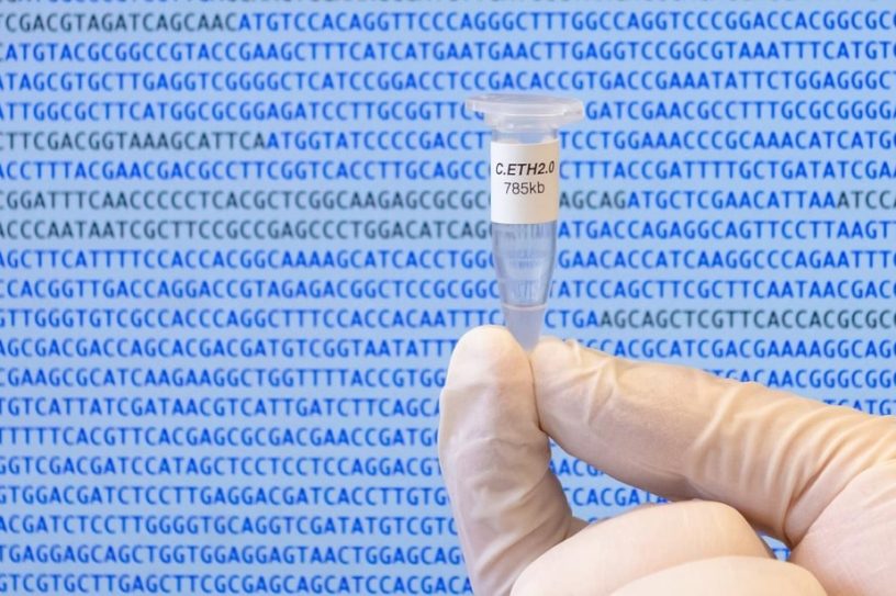 synthese bacterie informatique