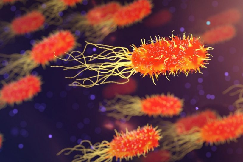 superbacterie