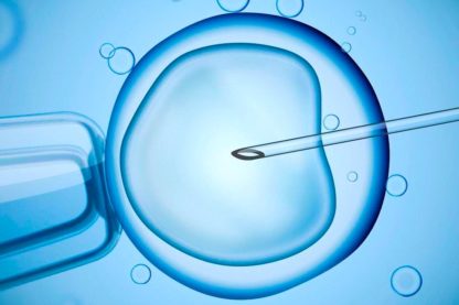 FIV edition génétique