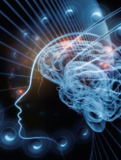 cerveau imagination realite