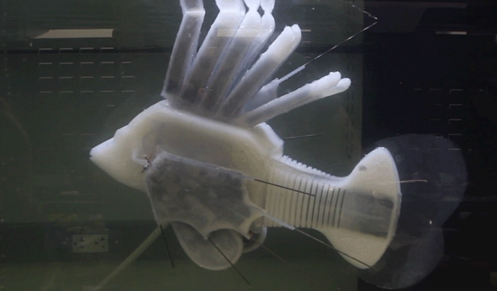 Ce robot-poisson utilise un « sang » artificiel comme source d'énergie