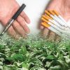 tabac genetiquement modifie solution lutte contre tabagisme