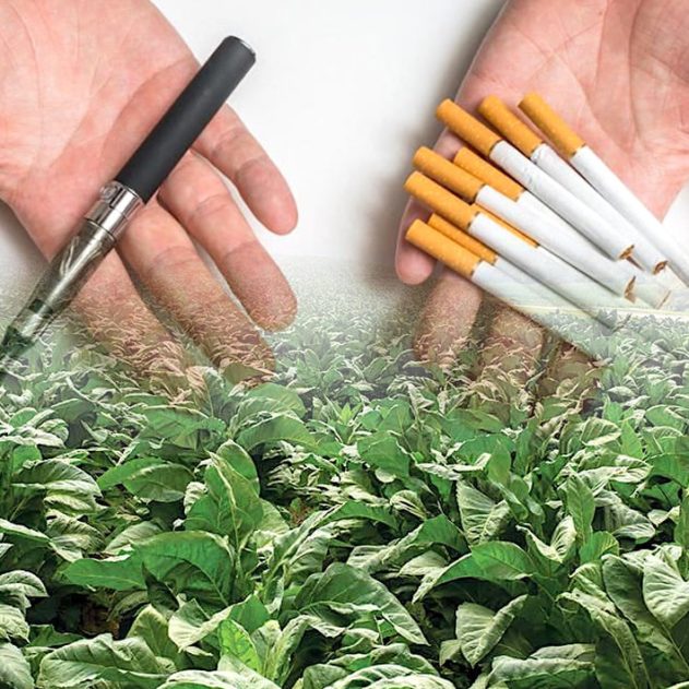 tabac genetiquement modifie solution lutte contre tabagisme