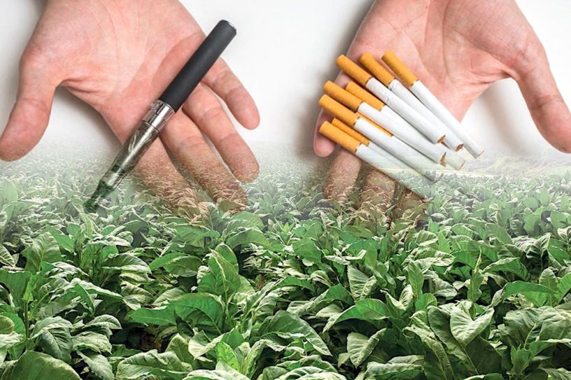 tabac genetiquement modifie solution lutte contre tabagisme
