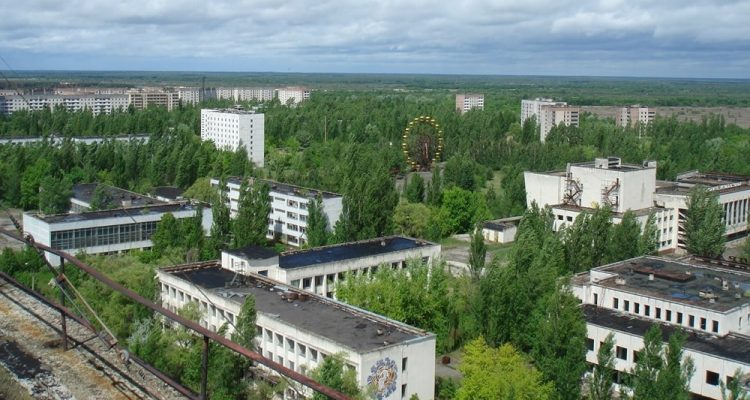 tchernobyl plantes