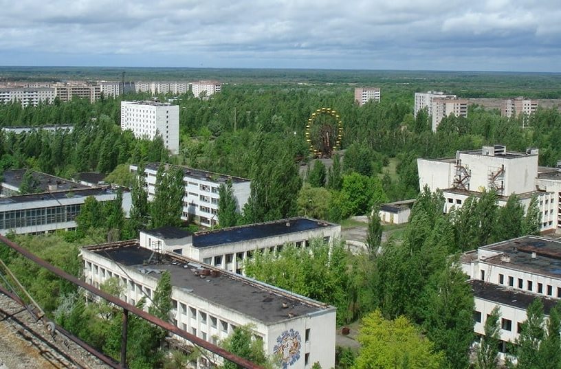 tchernobyl plantes