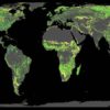 ajout 1 milliard hectares forets lutte changement climatique