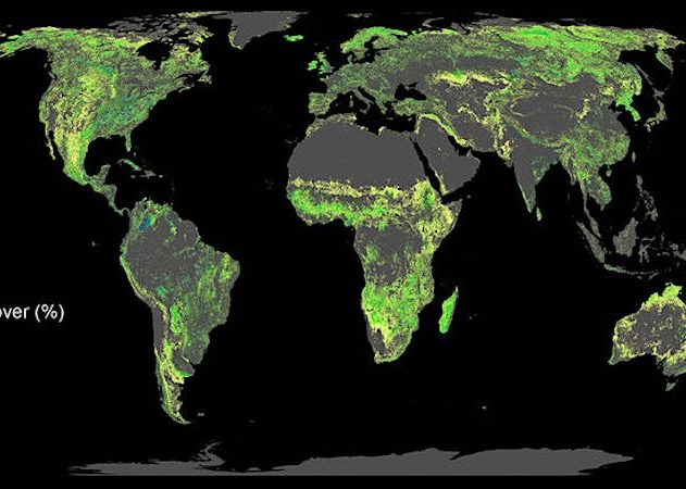 ajout 1 milliard hectares forets lutte changement climatique