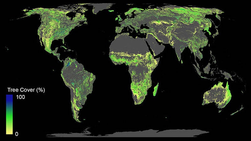 ajout 1 milliard hectares forets lutte changement climatique