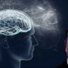 elon musk neuralink