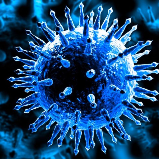 virus grippe vaccin