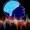 comment souvenirs sont encodes groupes neurones