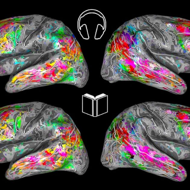 imagerie cerveau prediction lecture similarite ecoute