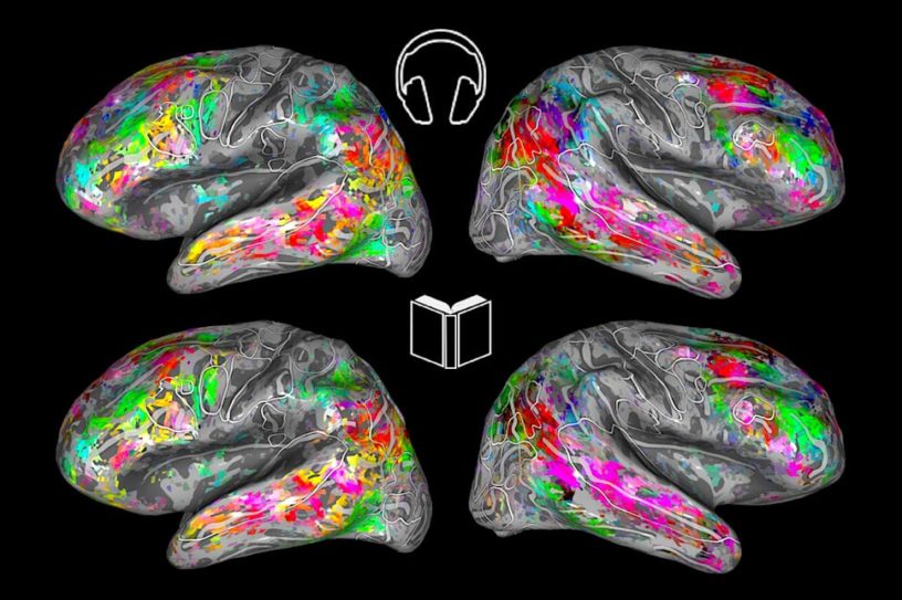 imagerie cerveau prediction lecture similarite ecoute