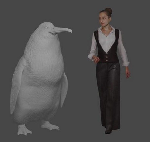 pingouin nouvelle zelande taille humaine