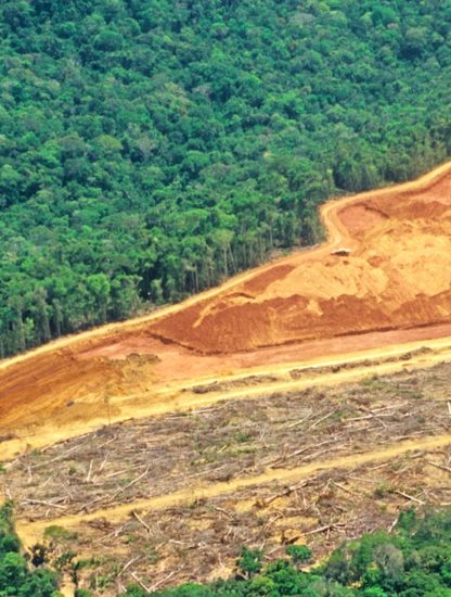 record deforestation amazonie juillet 2019