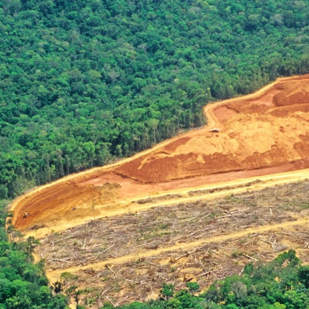 record deforestation amazonie juillet 2019