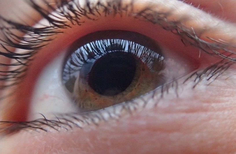 cornee oeil yeux maladie cellule souche pluripotente induite