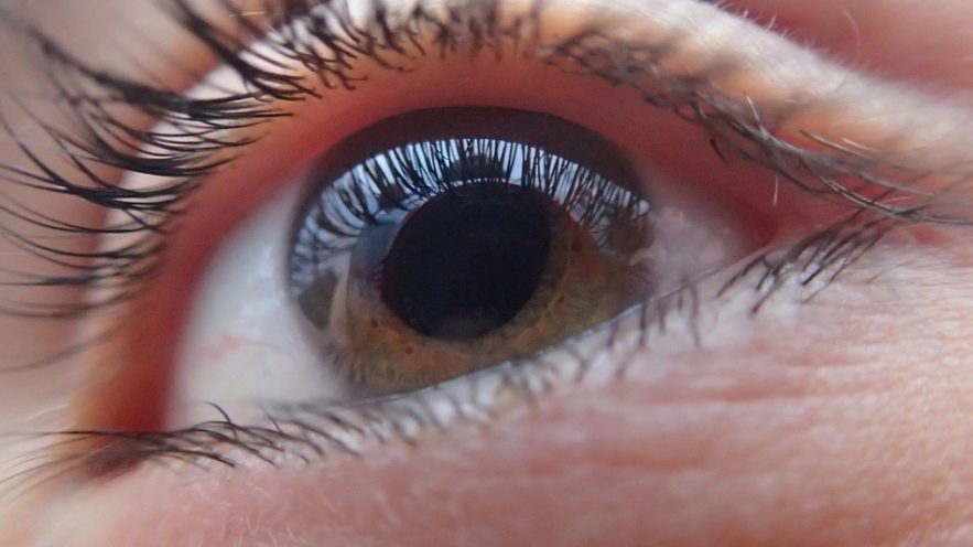 cornee oeil yeux maladie cellule souche pluripotente induite