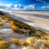 chaque sable plage son unique