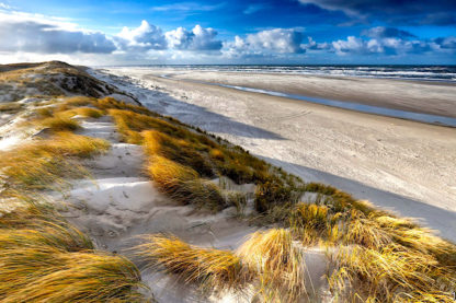 chaque sable plage son unique