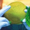 feuille artificielle produit gaz synthetique syngas