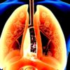 graisse poumons lien asthme decouverte