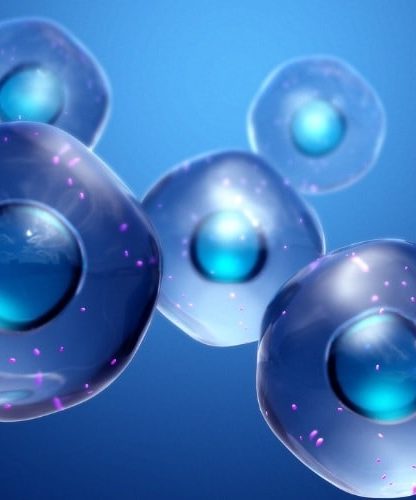 molecule protocellules