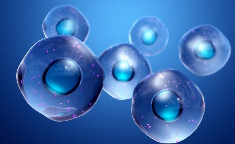 molecule protocellules