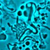 potentielle cause resistance antibiotiques identifiee