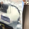rats conduisent voitures electriques experience