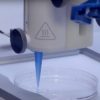 impression 3d peau artificielle vascularisee