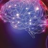 pensees cerveau