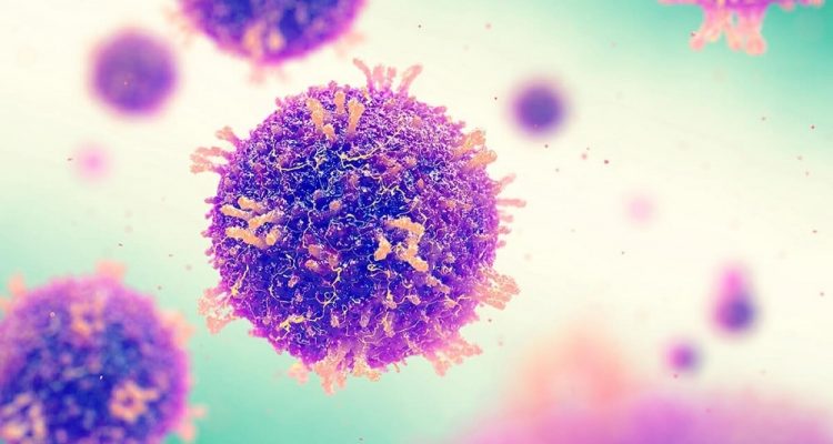 rougeole memoire immunitaire