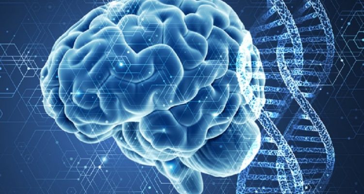 alzheimer mutation