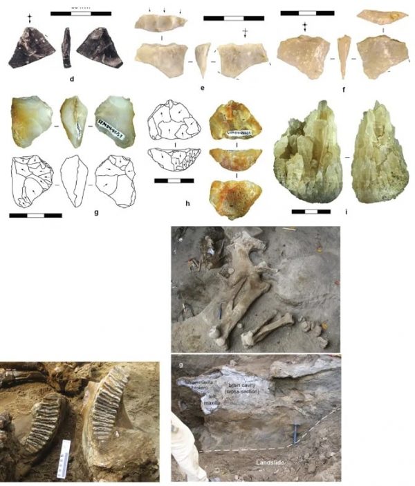 Sur l'île de Java, plusieurs Homo erectus sont morts mystérieusement il ...