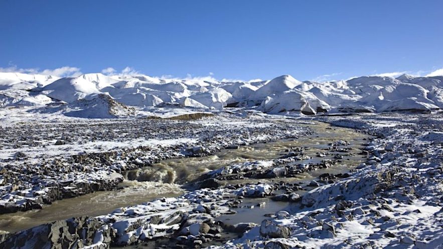 anciens virus inconnus decouverts glacier tibet