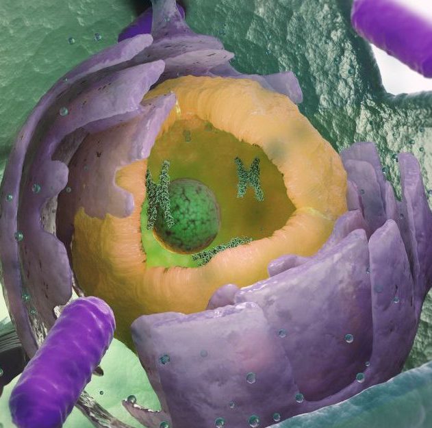 bacterie etrange secrets origine vie complexe