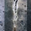 beton auto regenerant developpe