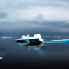 bilan thermique ocean 2019 alarmant