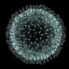 contagion virus