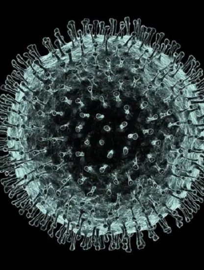 contagion virus
