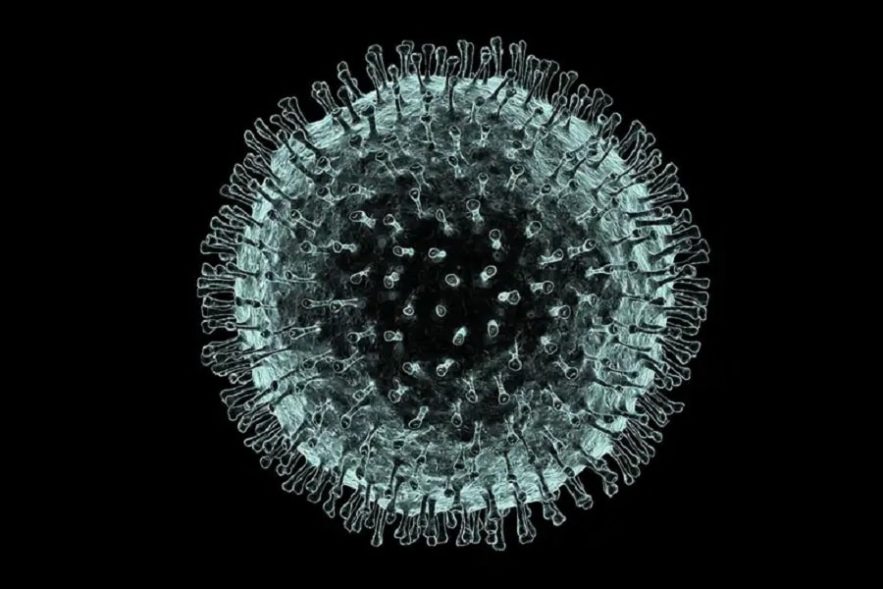 contagion virus