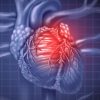 muscles cardiaques cultives laboratoire transplantes premiere fois