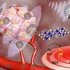 traitement cancer ultrason methode sonodynamique